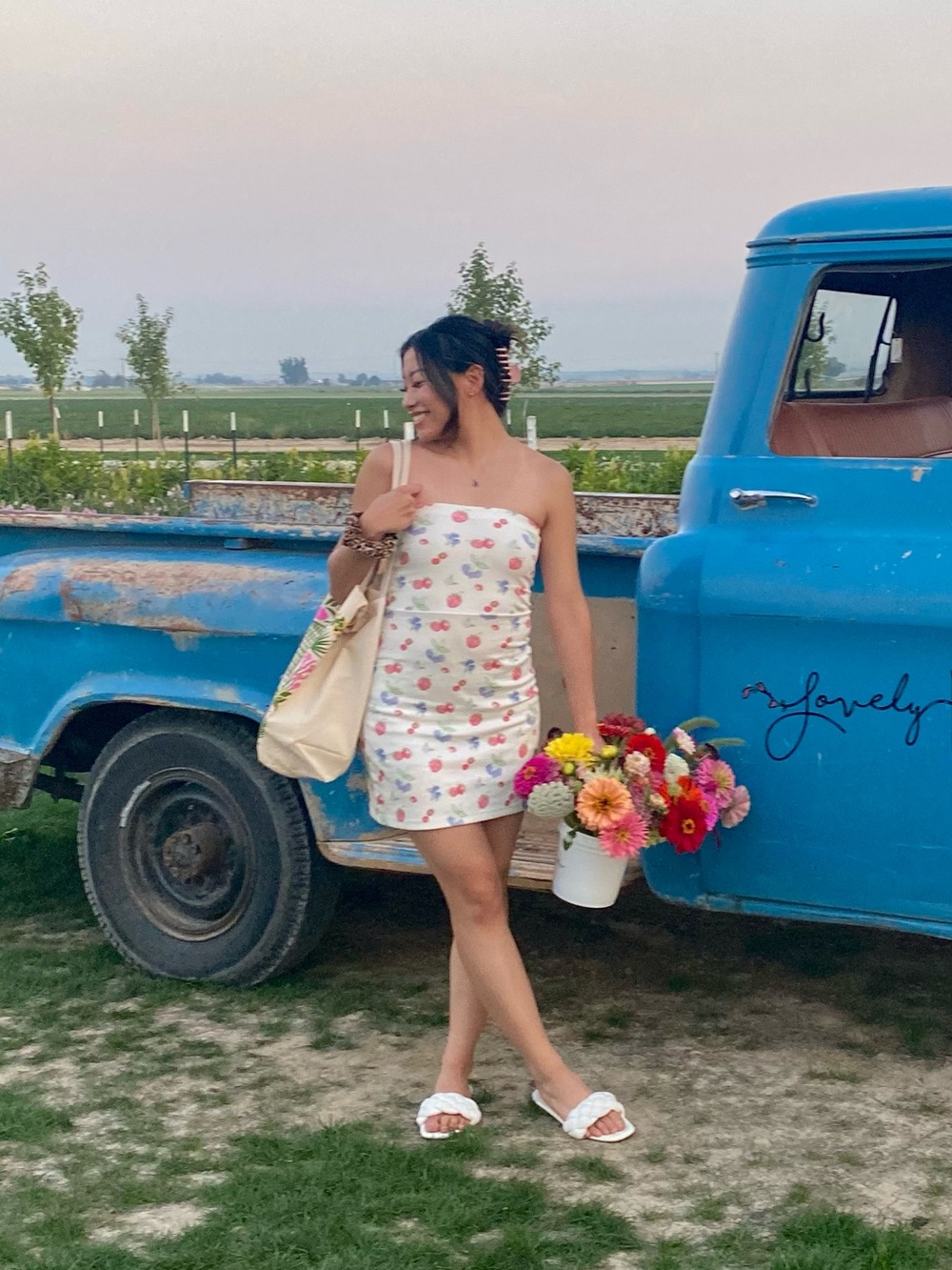 Djerf Avenue Summer Berries Tube Dress XS